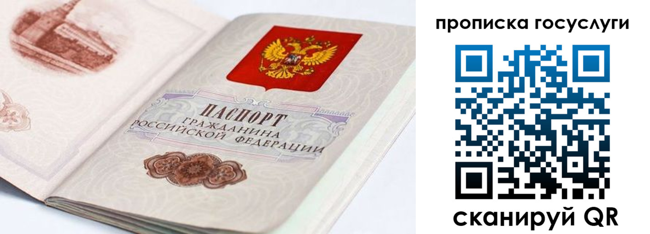 прописка гарантия в Кораблино